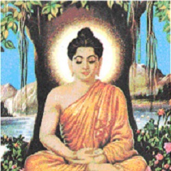 Author Buddha