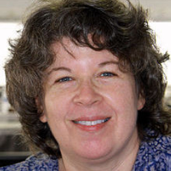 Author Meg Wolitzer