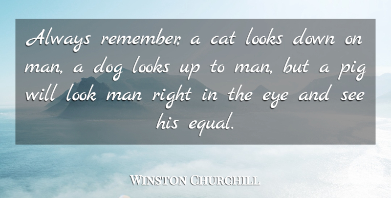 Winston Churchill Quote About Inspiring, Dog, Military: Always Remember A Cat Looks...