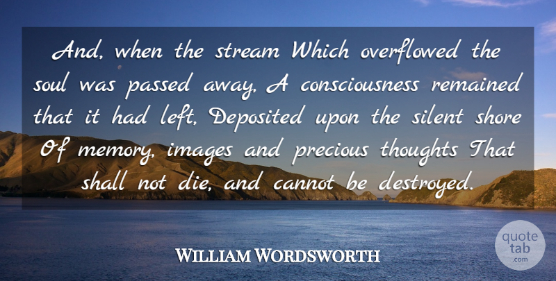 William Wordsworth Quote About Cannot, Consciousness, Images, Passed, Precious: And When The Stream Which...