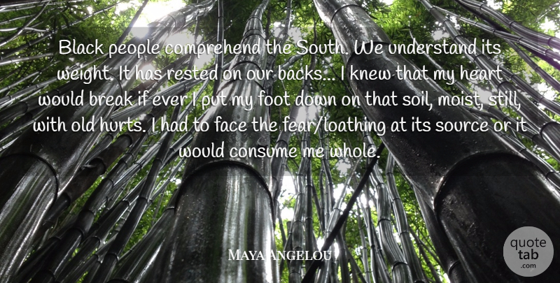 Maya Angelou Quote About Hurt, Heart, Feet: Black People Comprehend The South...