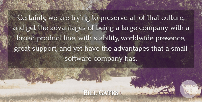 Bill Gates Quote About Advantages, Broad, Company, Great, Large: Certainly We Are Trying To...