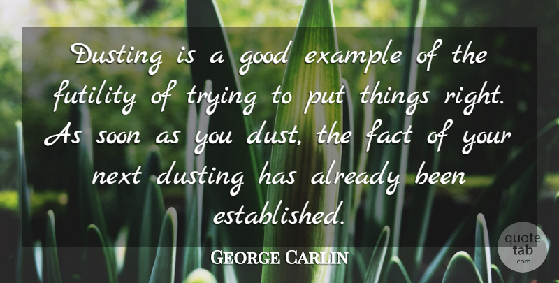George Carlin Quote About Futility Of Life, Dust, Trying: Dusting Is A Good Example...