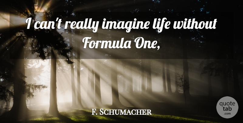 Michael Schumacher Quote About Imagine, Formulas, Cant: I Cant Really Imagine Life...