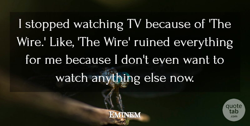 Eminem Quote About Wire, Want, Tvs: I Stopped Watching Tv Because...