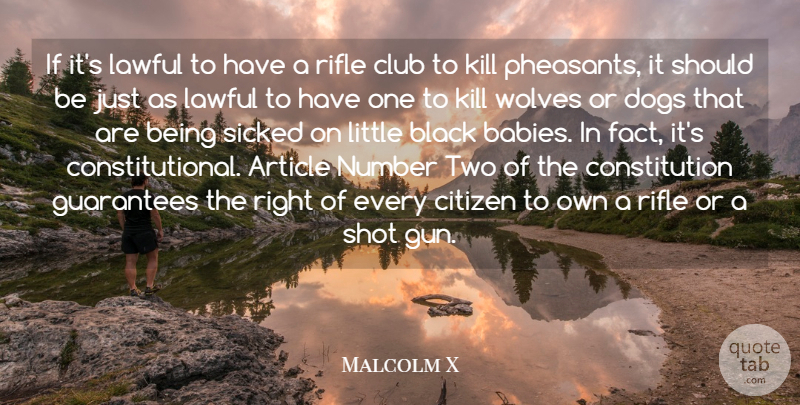 Malcolm X Quote About Article, Citizen, Club, Constitution, Dogs: If Its Lawful To Have...