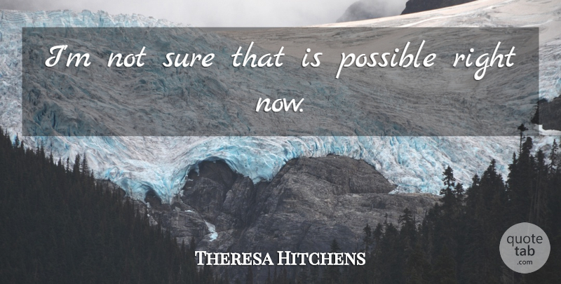 Theresa Hitchens Quote About Possible, Sure: Im Not Sure That Is...