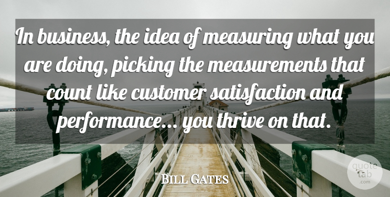 Bill Gates Quote About Success, Ideas, Satisfaction: In Business The Idea Of...