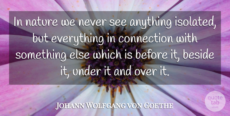 Johann Wolfgang von Goethe Quote About Nature, Science, Connections: In Nature We Never See...
