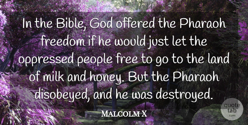 Malcolm X Quote About Freedom, God, Land, Milk, Offered: In The Bible God Offered...