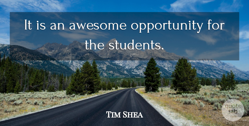 Tim Shea Quote About Awesome, Opportunity: It Is An Awesome Opportunity...