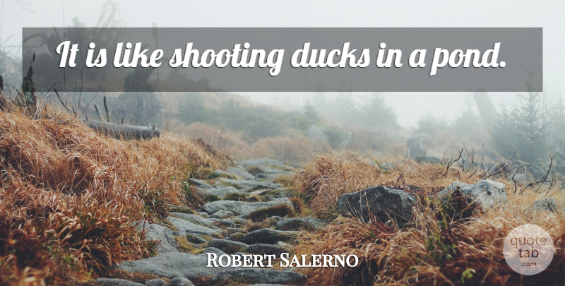 Robert Salerno Quote About Ducks, Shooting: It Is Like Shooting Ducks...
