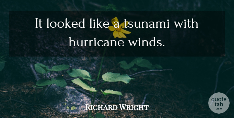 Richard Wright Quote About Hurricane, Looked, Tsunami: It Looked Like A Tsunami...