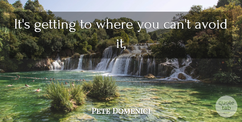 Pete Domenici Quote About Avoid: Its Getting To Where You...