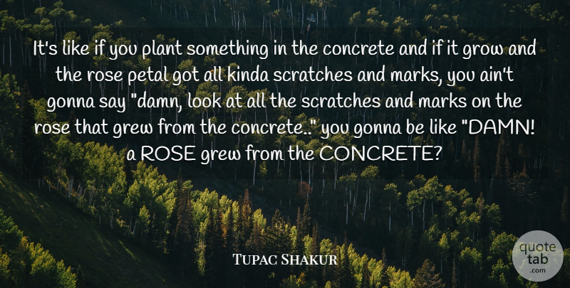 Tupac Shakur Quote About Music, Rose, Scratches: Its Like If You Plant...