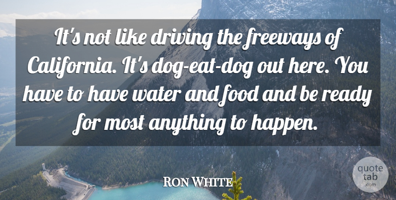 Ron White Quote About Driving, Food, Ready, Water: Its Not Like Driving The...