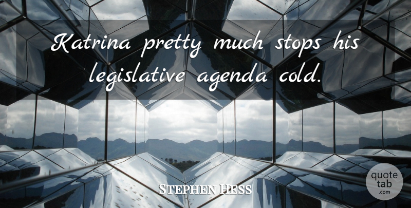 Stephen Hess Quote About Agenda, Katrina, Stops: Katrina Pretty Much Stops His...