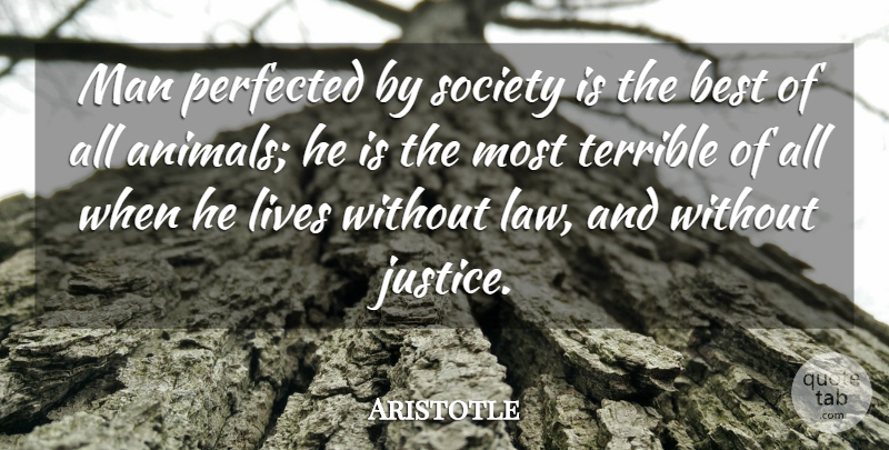 Aristotle Quote About Men, Animal, Law: Man Perfected By Society Is...