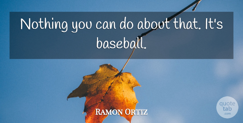 Ramon Ortiz Quote About undefined: Nothing You Can Do About...