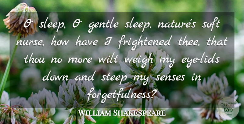 William Shakespeare Quote About Frightened, Gentle, Senses, Soft, Steep: O Sleep O Gentle Sleep...