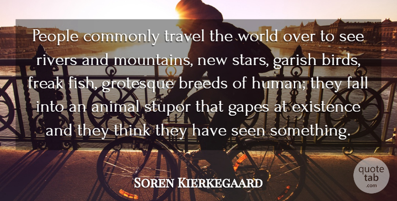 Soren Kierkegaard Quote About Travel, Stars, Fall: People Commonly Travel The World...