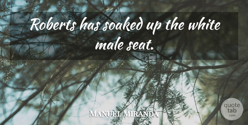Manuel Miranda Quote About Male, Roberts, White: Roberts Has Soaked Up The...