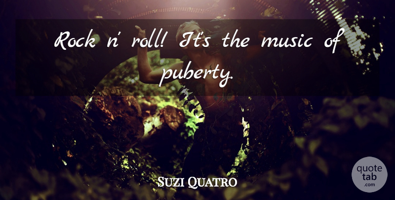 Suzi Quatro Quote About Music: Rock N Roll Its The...