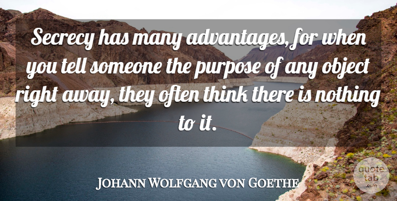 Johann Wolfgang von Goethe Quote About Thinking, Purpose, Persuasion: Secrecy Has Many Advantages For...