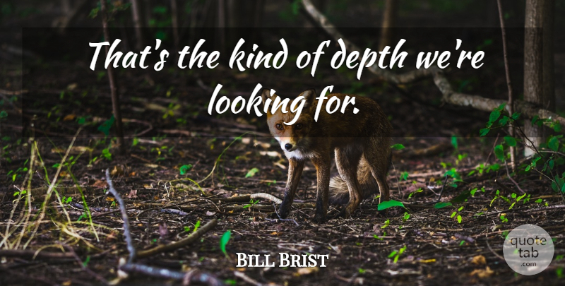 Bill Brist Quote About Depth, Looking: Thats The Kind Of Depth...