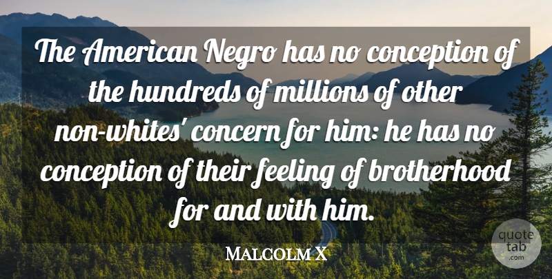 Malcolm X Quote About Millions: The American Negro Has No...