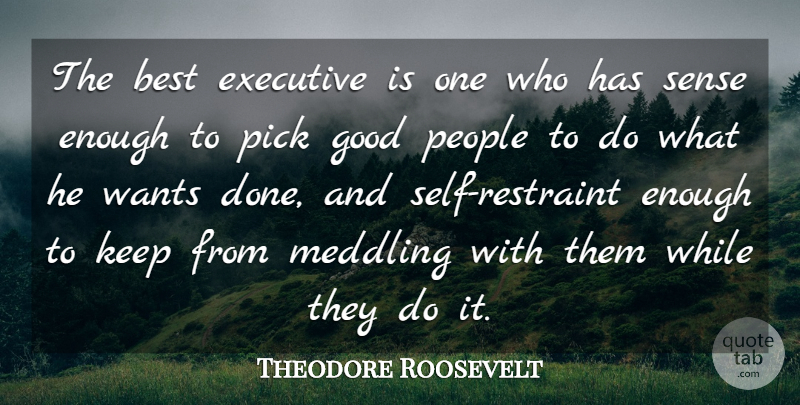 Theodore Roosevelt Quote About Inspirational, Relationship, Leadership: The Best Executive Is One...