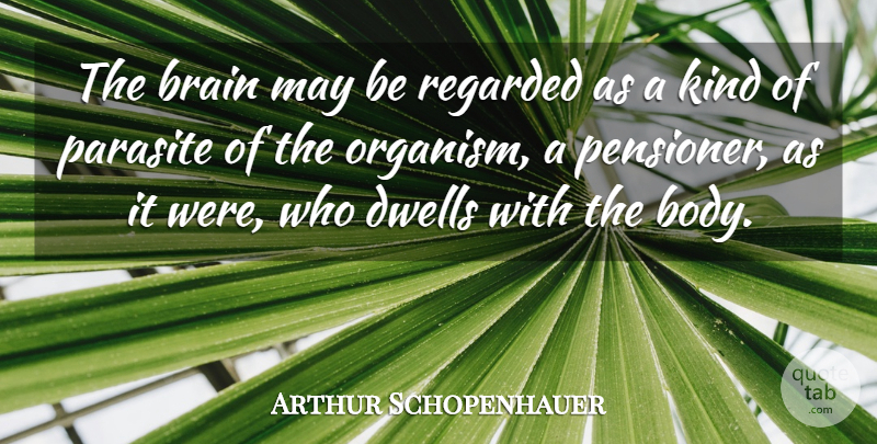 Arthur Schopenhauer Quote About Brain, May, Body: The Brain May Be Regarded...