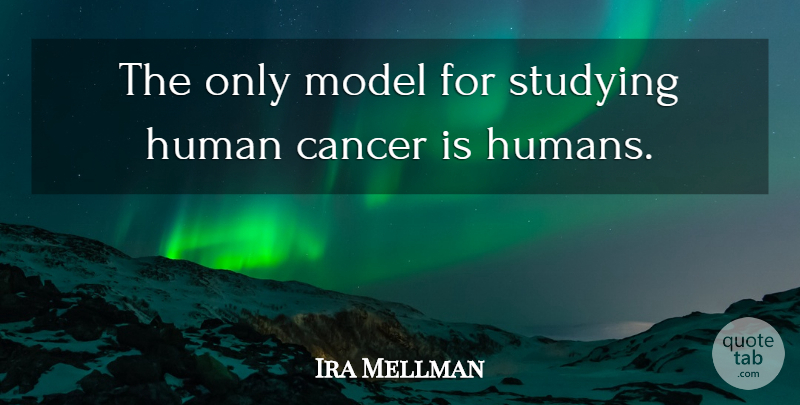 Ira Mellman Quote About Cancer, Human, Model, Studying: The Only Model For Studying...