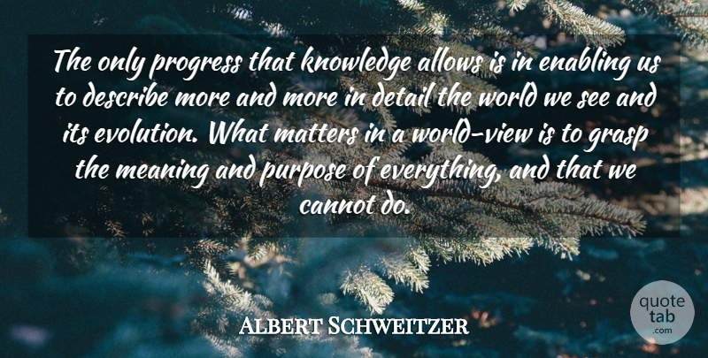 Albert Schweitzer Quote About Cannot, Describe, Detail, Enabling, Grasp: The Only Progress That Knowledge...