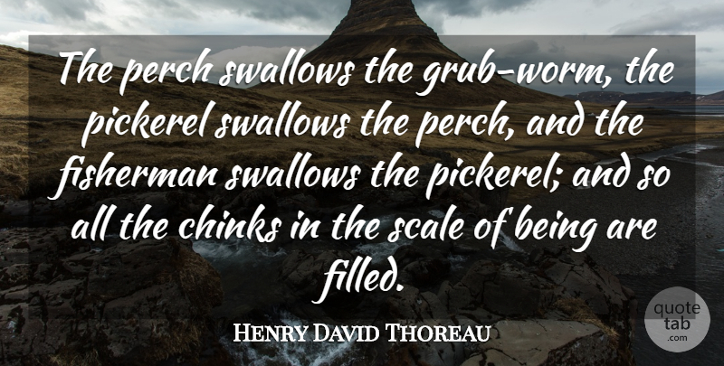 Henry David Thoreau Quote About Fishing, Fisherman, Scales: The Perch Swallows The Grub...