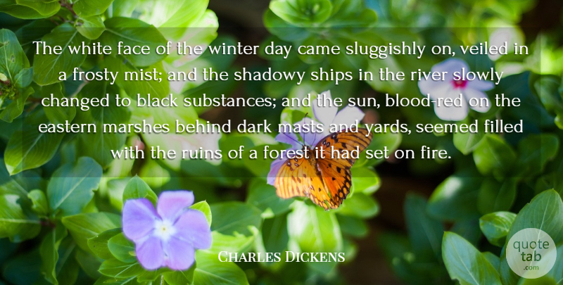 Charles Dickens Quote About Nature, Dark, Winter: The White Face Of The...