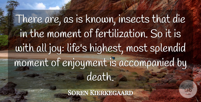 Soren Kierkegaard Quote About Joy, Moments, Insects: There Are As Is Known...
