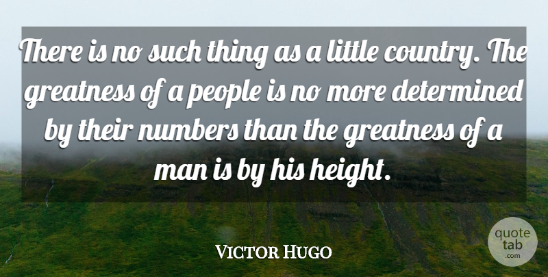 Victor Hugo Quote About Life, Country, Greatness: There Is No Such Thing...
