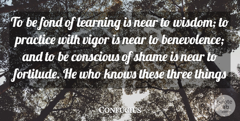 Confucius Quote About Practice, Vigor, Shame: To Be Fond Of Learning...