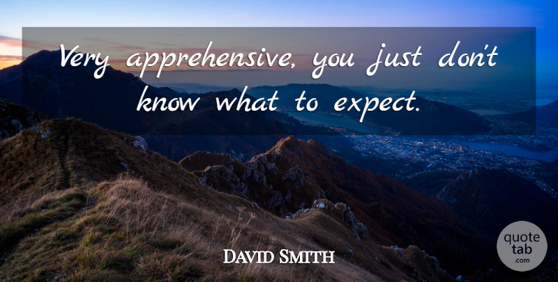 David Smith Quote About undefined: Very Apprehensive You Just Dont...