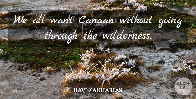Ravi Zacharias Quote About Want, Wilderness: We All Want Canaan Without...