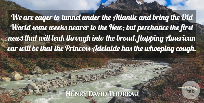 Henry David Thoreau Quote About Princess, Media, Tunnels: We Are Eager To Tunnel...