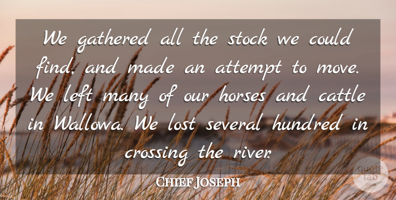 Chief Joseph Quote About Horse, Moving, Rivers: We Gathered All The Stock...