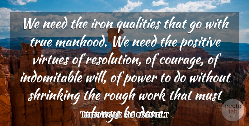 Theodore Roosevelt Quote About Wisdom, Iron, Quality: We Need The Iron Qualities...