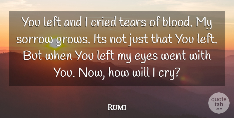 Rumi Quote About Eye, Blood, Sorrow: You Left And I Cried...