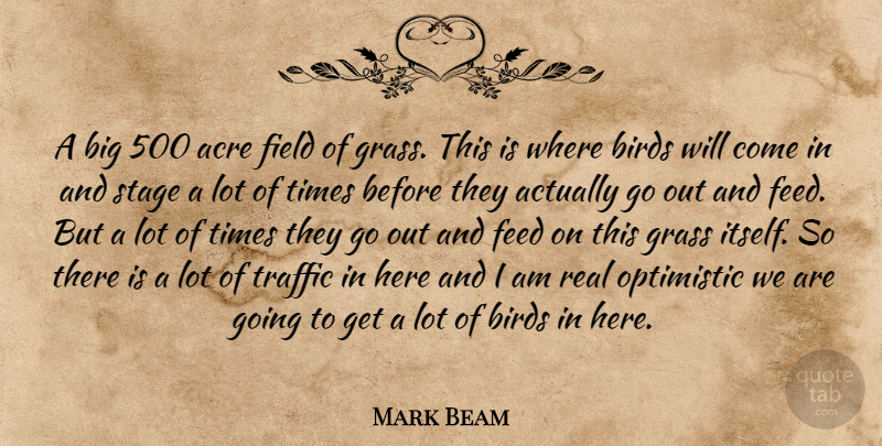 Mark Beam Quote About Acre, Birds, Feed, Field, Grass: A Big 500 Acre Field...