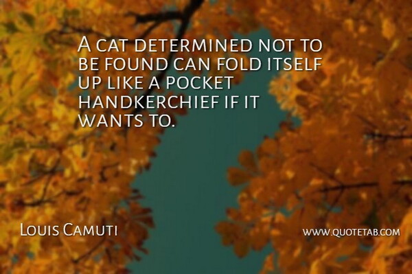 Louis Camuti Quote About Cat, Determined, Fold, Found, Itself: A Cat Determined Not To...