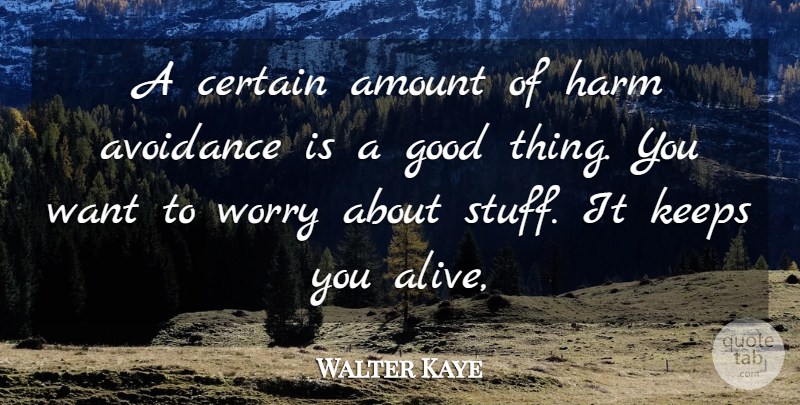 Walter Kaye Quote About Amount, Avoidance, Certain, Good, Harm: A Certain Amount Of Harm...