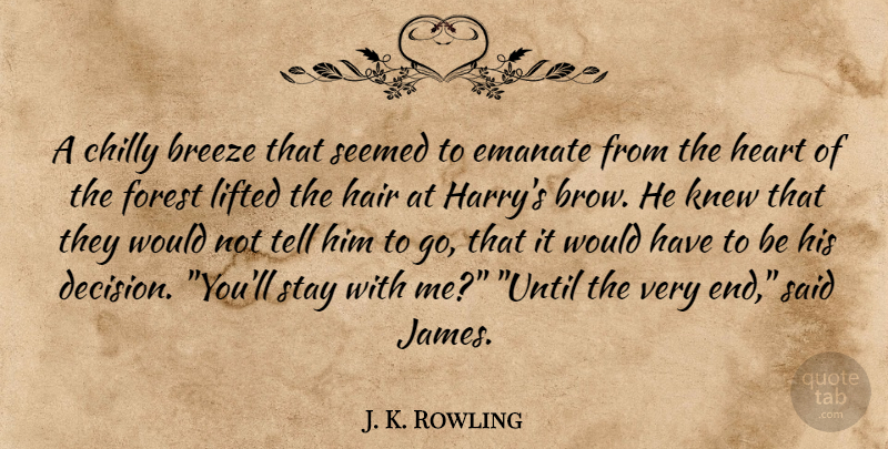 J. K. Rowling Quote About Heart, Hair, Decision: A Chilly Breeze That Seemed...