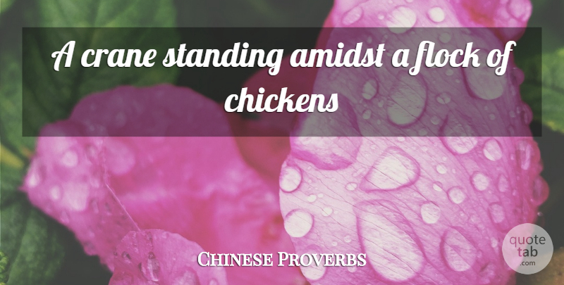 Chinese Proverbs Quote About Amidst, Chickens, Flock, Standing: A Crane Standing Amidst A...